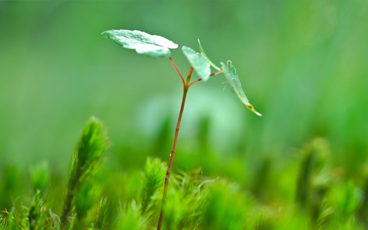 长沙节能环保网站建设